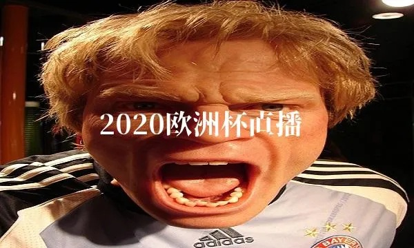 2020欧洲杯搞笑视频 2020欧洲杯搞笑视频完整版-第2张图片-www.211178.com_果博福布斯